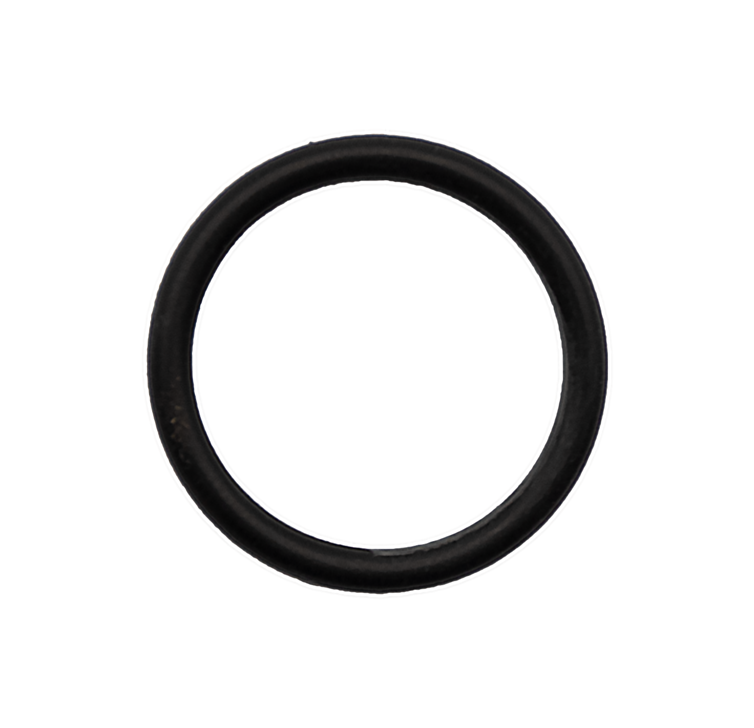 Buckeye O-Ring